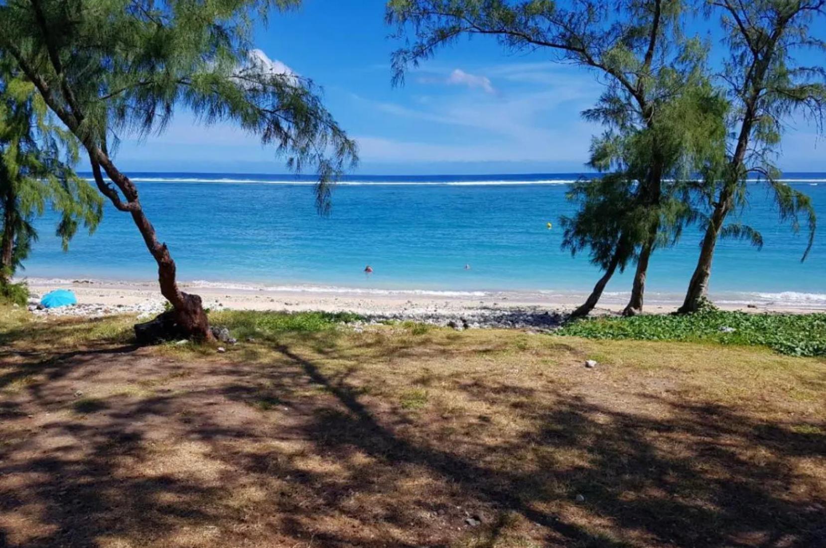לה סאלין לה ביינס Le Tamarin Bleu - Studio A 300 M De La Plage מראה חיצוני תמונה